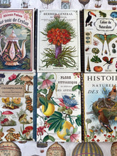 Charger l'image dans la galerie, Illustration notebook / イラスト入りノート / Cahier illustré