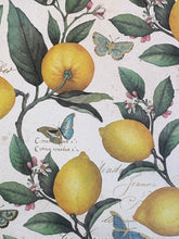 Charger l'image dans la galerie, Assortment of decorative papers / デコレーションペーパーセット / Assortiment de papiers décoratifs
